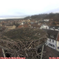12_10-nest.jpg