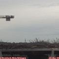 12_15-mast.jpg