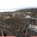 12_20-nest.jpg