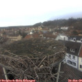 12_25-nest.jpg