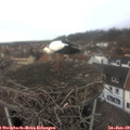 12_30-nest.jpg
