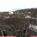 12_35-nest.jpg