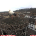 12_40-nest.jpg
