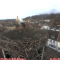 12_45-nest.jpg