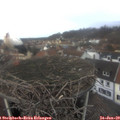 12_50-nest.jpg