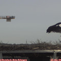 13_05-mast.jpg