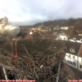 13_05-nest.jpg