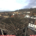13_15-nest.jpg