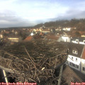 13_20-nest.jpg