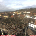 13_25-nest.jpg