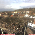 13_30-nest.jpg