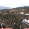 13_35-nest.jpg