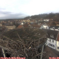 13_40-nest.jpg