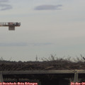 13_50-mast.jpg