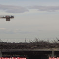 13_55-mast.jpg