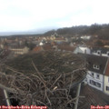 13_55-nest.jpg