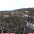 14_00-nest.jpg