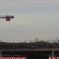 14_05-mast.jpg
