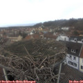 14_05-nest.jpg