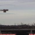 14_10-mast.jpg