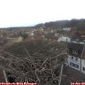 14_10-nest.jpg