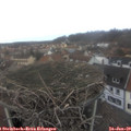 14_15-nest.jpg