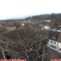 14_20-nest.jpg