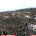 14_25-nest.jpg