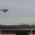 14_30-mast.jpg