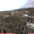 14_40-nest.jpg