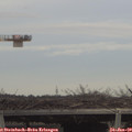 14_45-mast.jpg