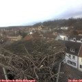 14_45-nest.jpg