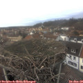 14_55-nest.jpg