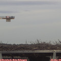 15_00-mast.jpg