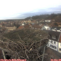 15_00-nest.jpg