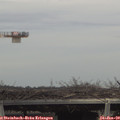 15_05-mast.jpg