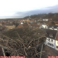 15_05-nest.jpg