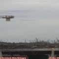 15_10-mast.jpg