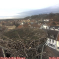 15_10-nest.jpg