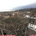 15_15-nest.jpg
