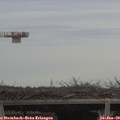 15_20-mast.jpg