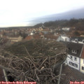 15_20-nest.jpg