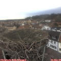 15_25-nest.jpg