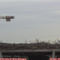 15_30-mast.jpg
