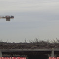 15_35-mast.jpg