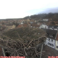 15_35-nest.jpg