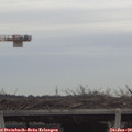 15_40-mast.jpg
