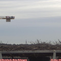 15_45-mast.jpg