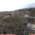 15_45-nest.jpg