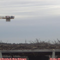 15_50-mast.jpg